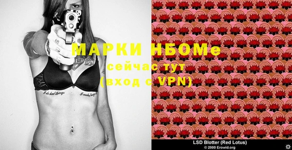 прущие грибы Белокуриха