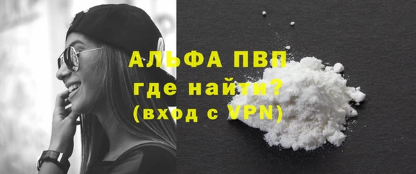 прущие грибы Белокуриха