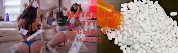 прущие грибы Белокуриха