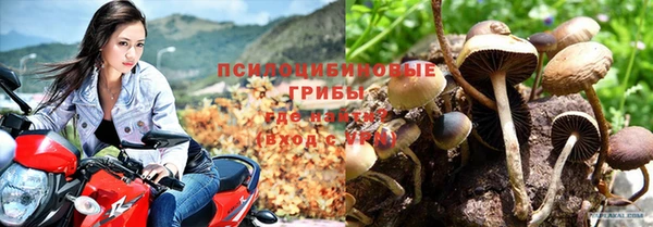 MDMA Тайга
