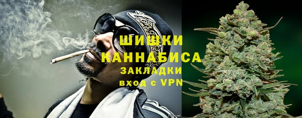прущие грибы Белокуриха
