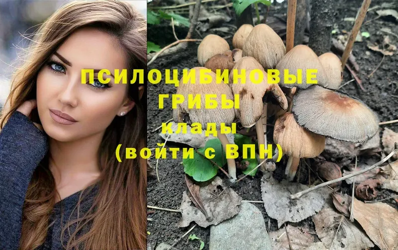 ОМГ ОМГ ONION  Буинск  Галлюциногенные грибы Cubensis 